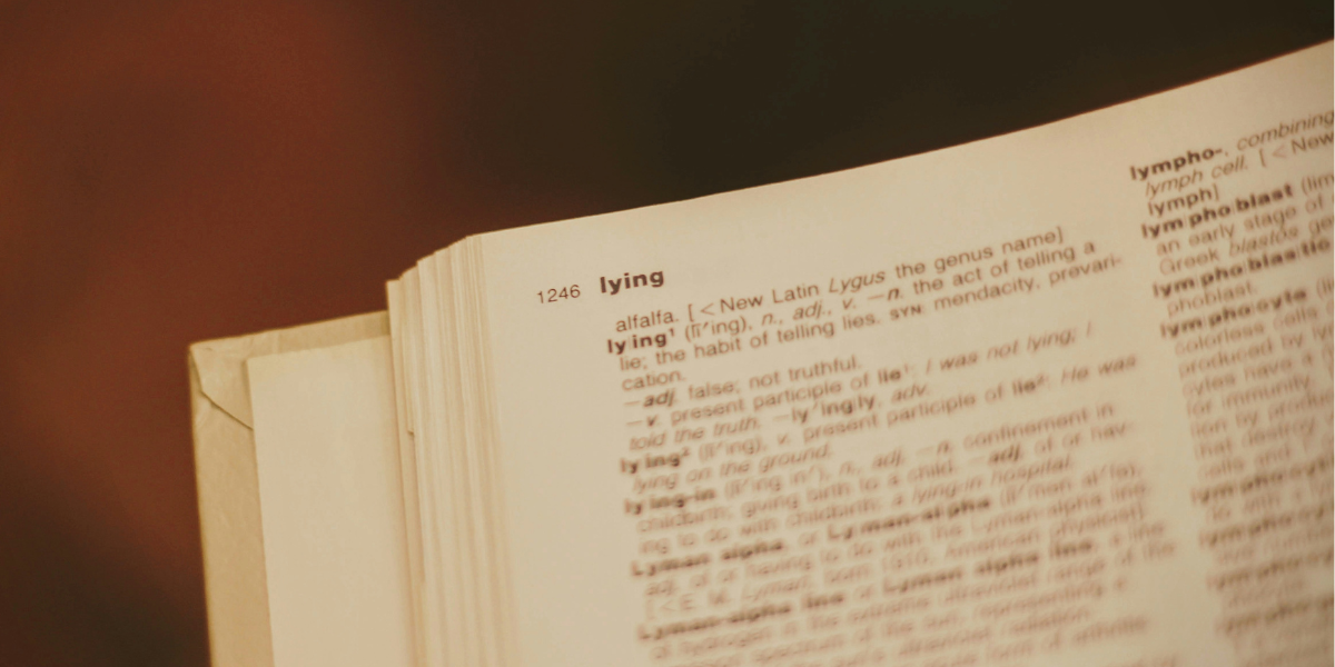 The dictionary on the entry page for "lying" which is defined as "n. the act of telling a lie; the habit of telling lies"