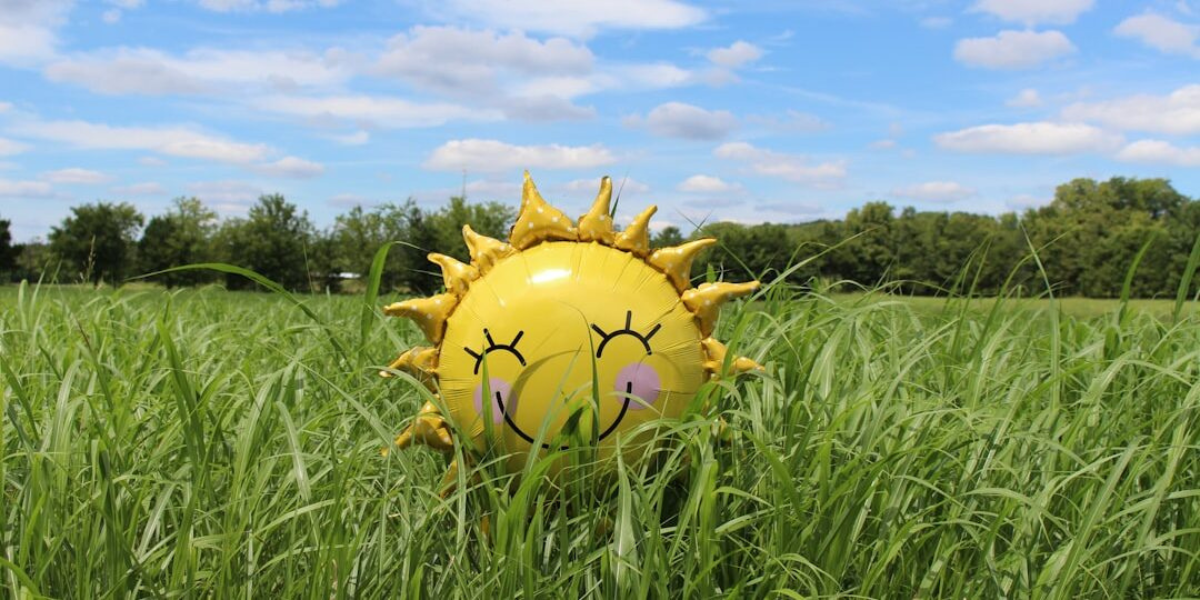 Happy face balloon in a grass field on a sunny day