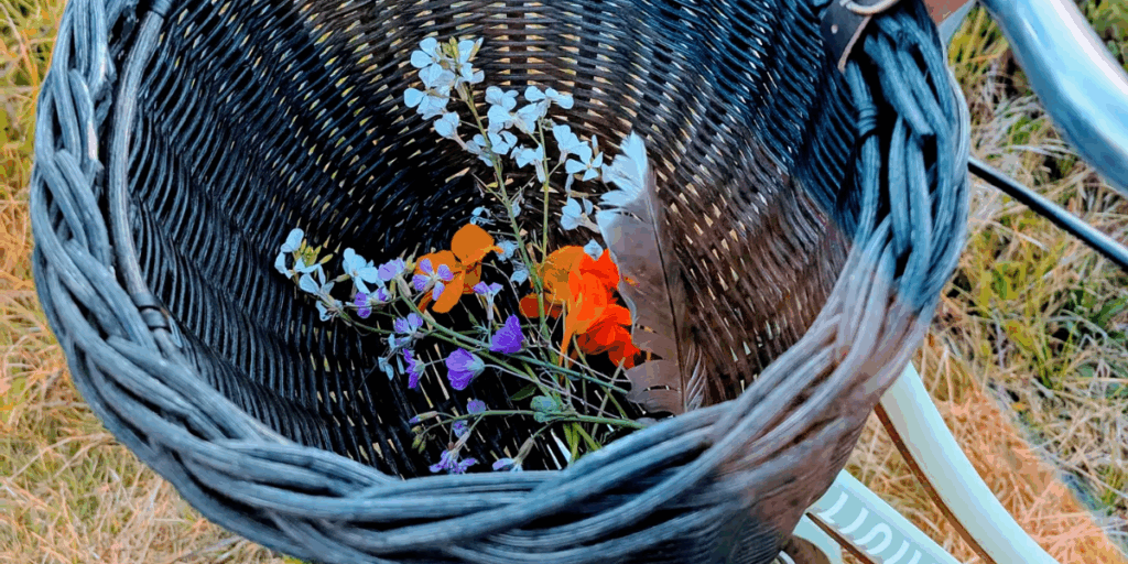 A bike basket full of flowers and a feather.