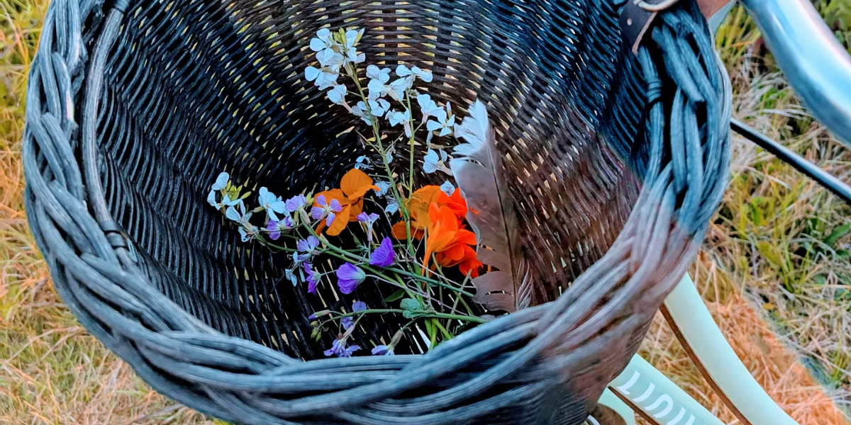 A bike basket full of flowers and a feather.